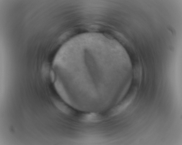 X0000113600092200910161916