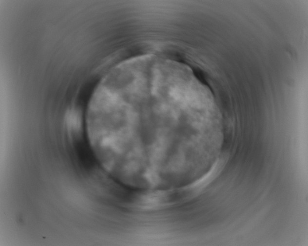 X0000113600094200910161916