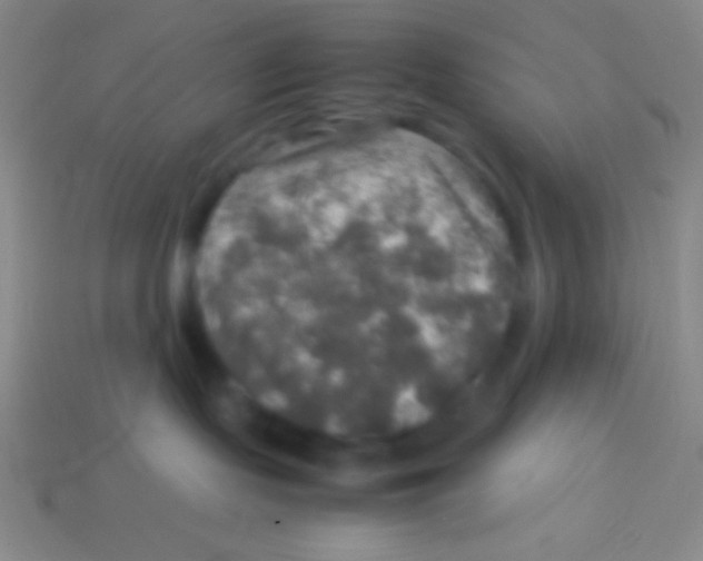 X0000113600095200910161916