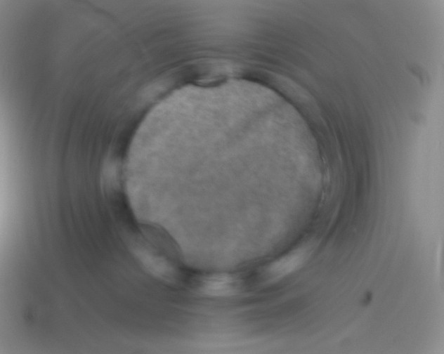 X0000113600096200910161916