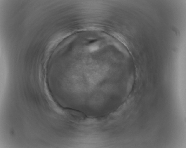 X0000113600097200910161915