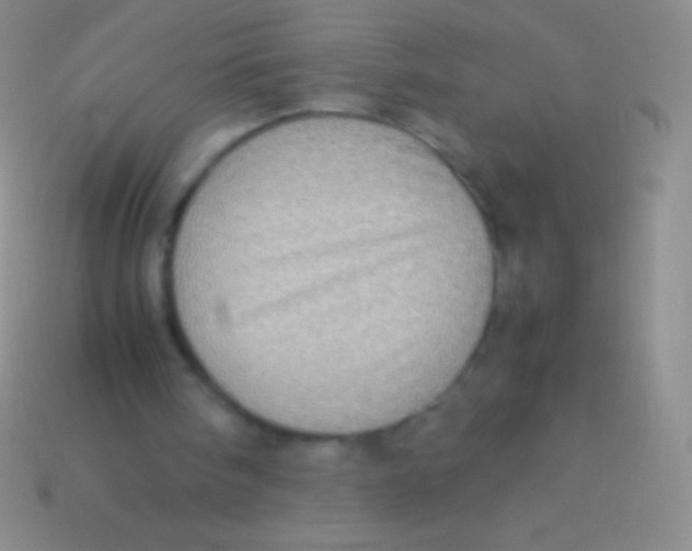 X0000113600098200910161915