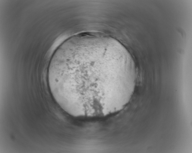 X0000113600099200910161915