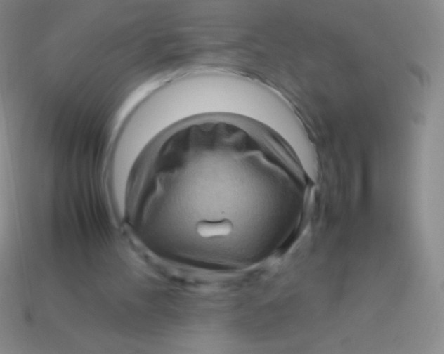 X0000113600100200910161915