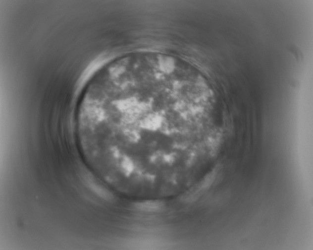 X0000113600102200910161915