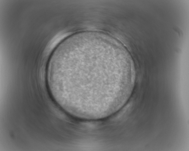 X0000113600103200910161915