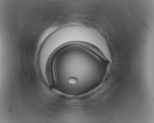 X0000113600104200910161915