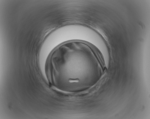 X0000113600105200910161915