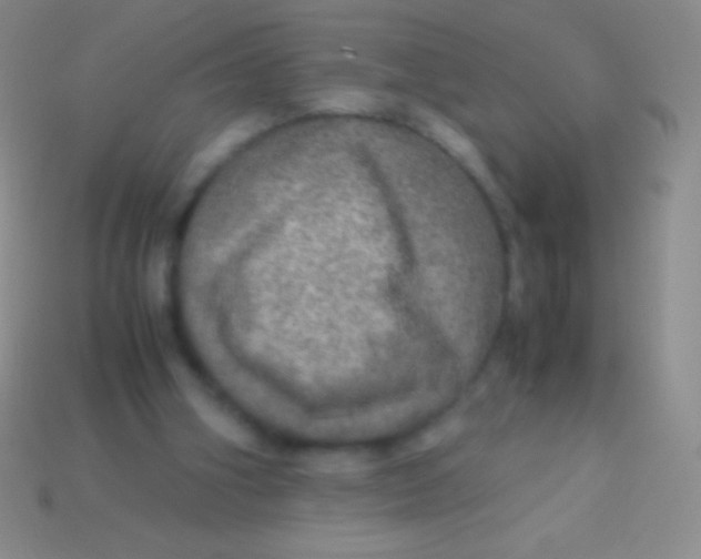 X0000113600106200910161915