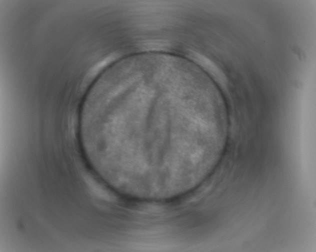 X0000113600107200910161915