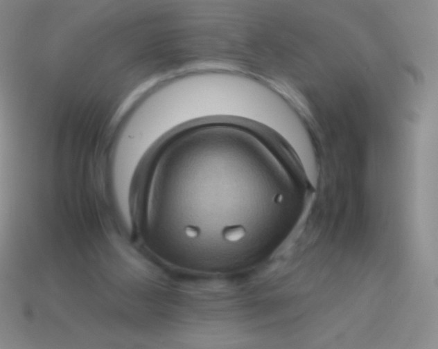 X0000113600108200910161915