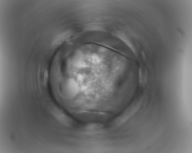 X0000113600109200910161915