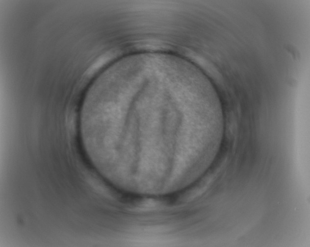 X0000113600111200910161915