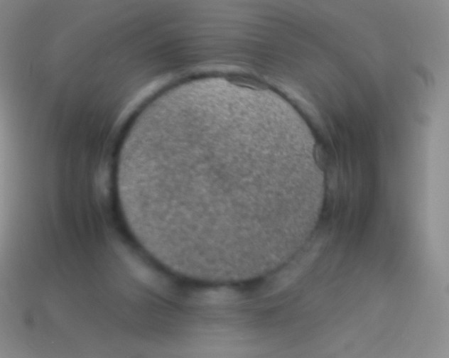 X0000113600112200910161915