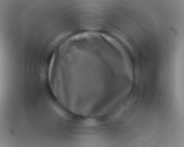 X0000113600114200910161915