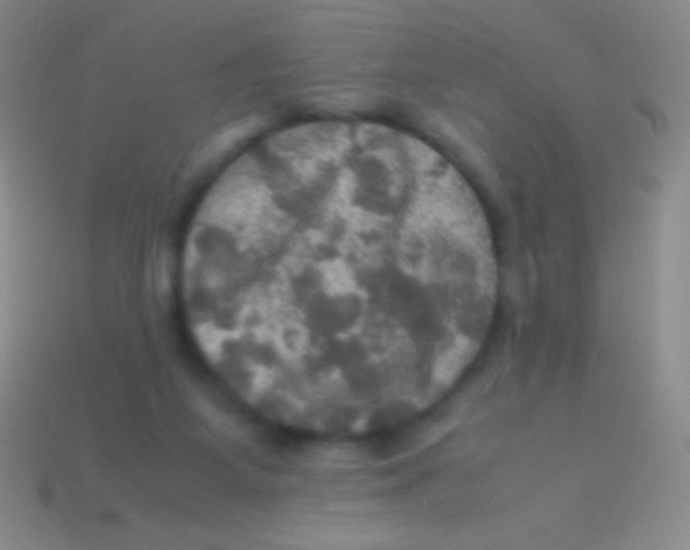 X0000113600115200910161915