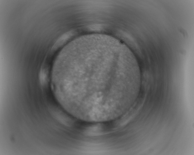 X0000113600116200910161915