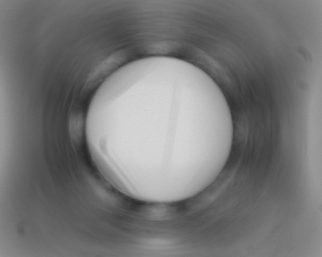 X0000113600118200910161915