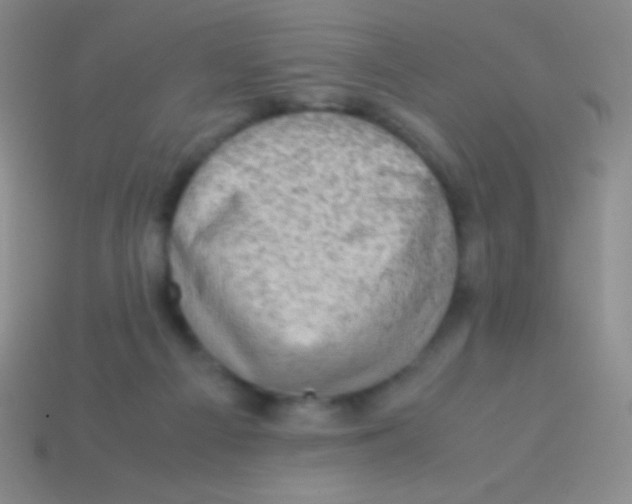 X0000113600121200910161915