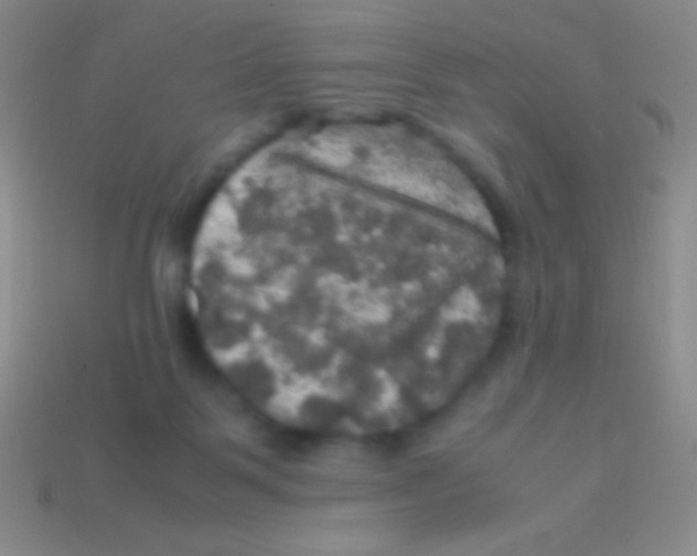 X0000113600123200910161915