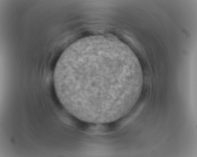 X0000113600125200910161915