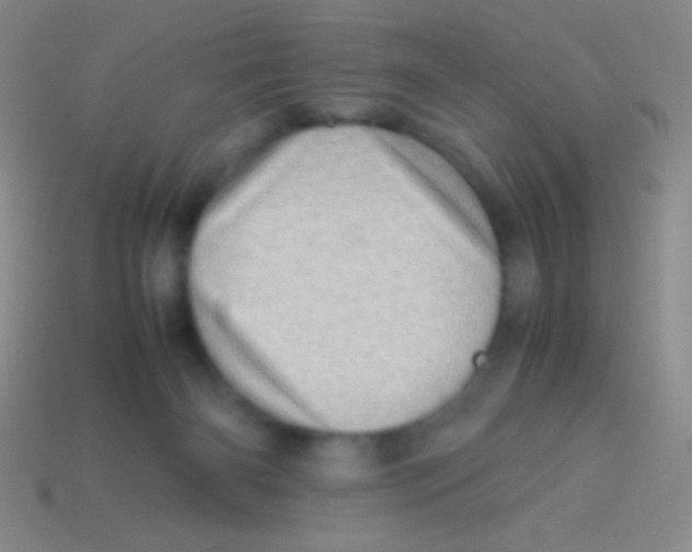 X0000113600126200910161915