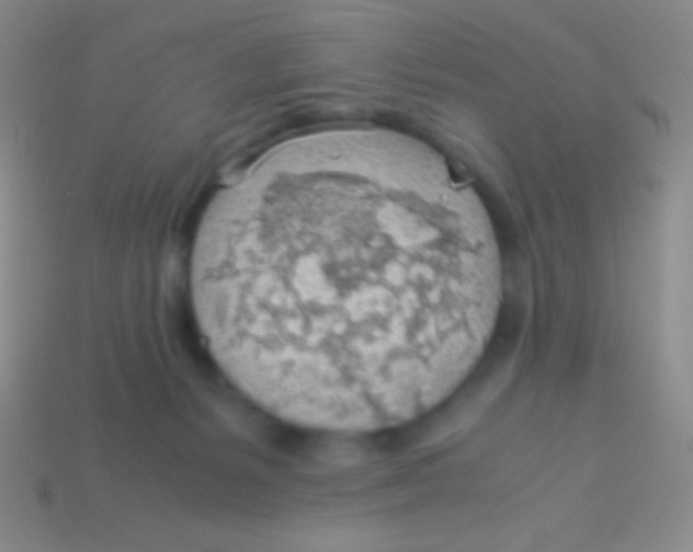 X0000113600127200910161915