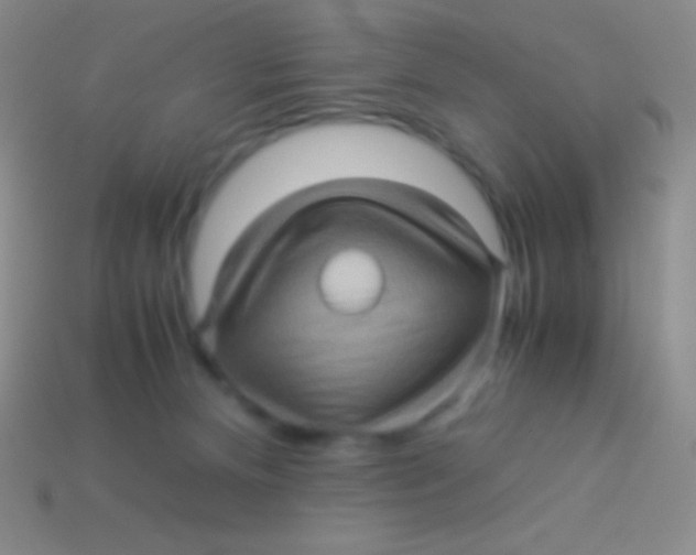 X0000113600128200910161915