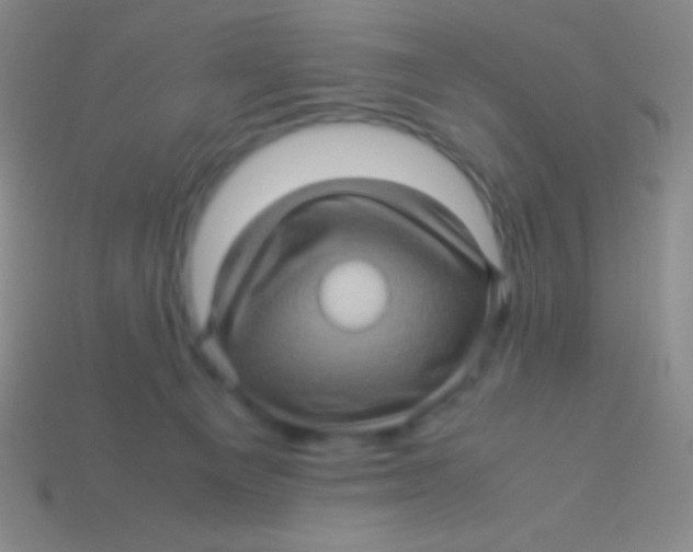 X0000113600129200910161915