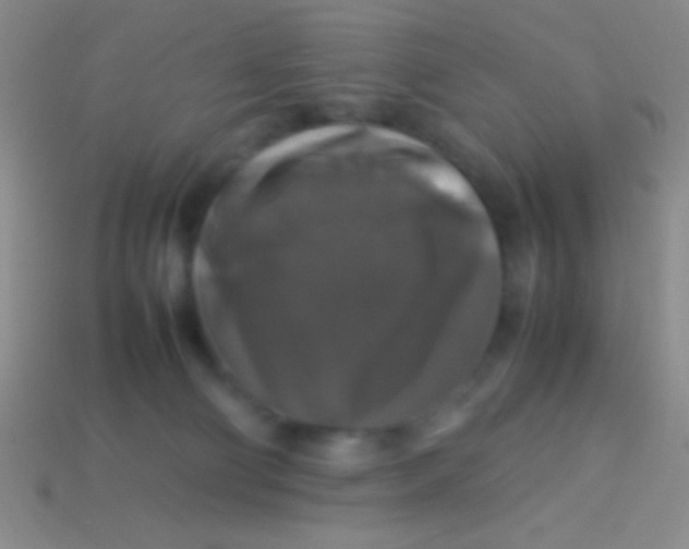 X0000113600130200910161915