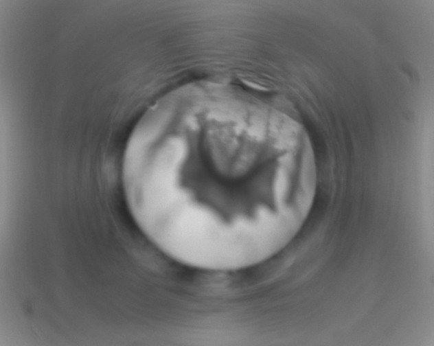 X0000113600131200910161915