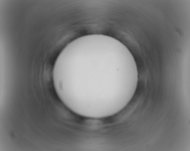 X0000113600133200910161915