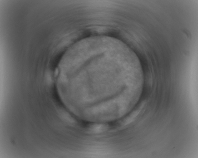 X0000113600135200910161915