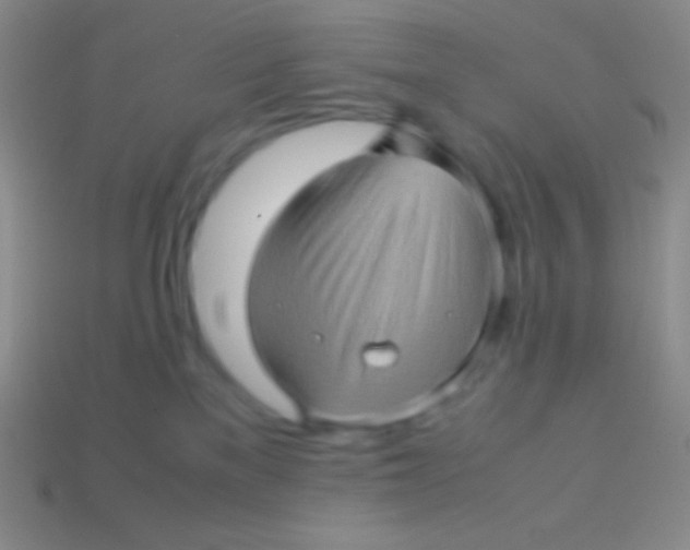 X0000113600137200910161915