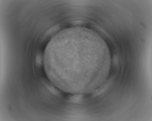 X0000113600138200910161915