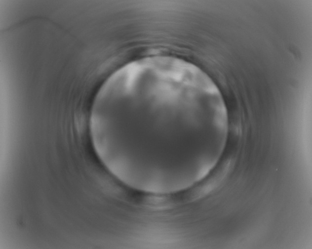 X0000113600139200910161915