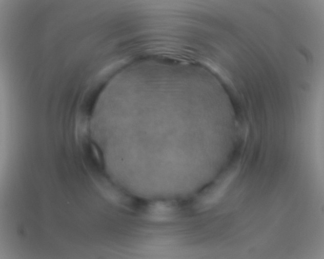 X0000113600141200910161915