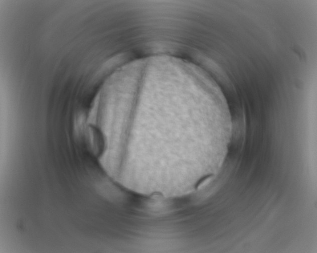 X0000113600142200910161915