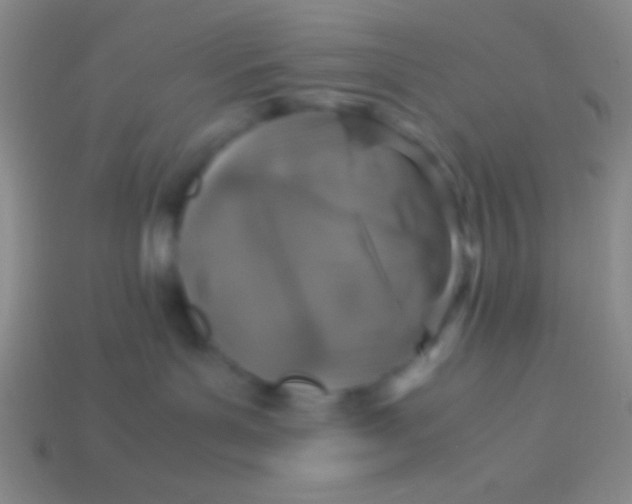 X0000113600143200910161915