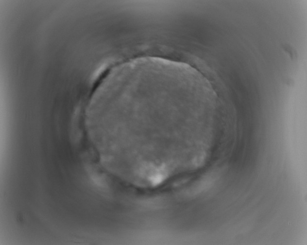 X0000113600144200910161915