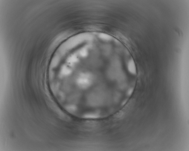 X0000113600145200910161914