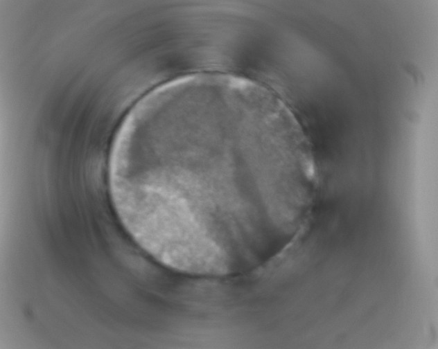 X0000113600146200910161914