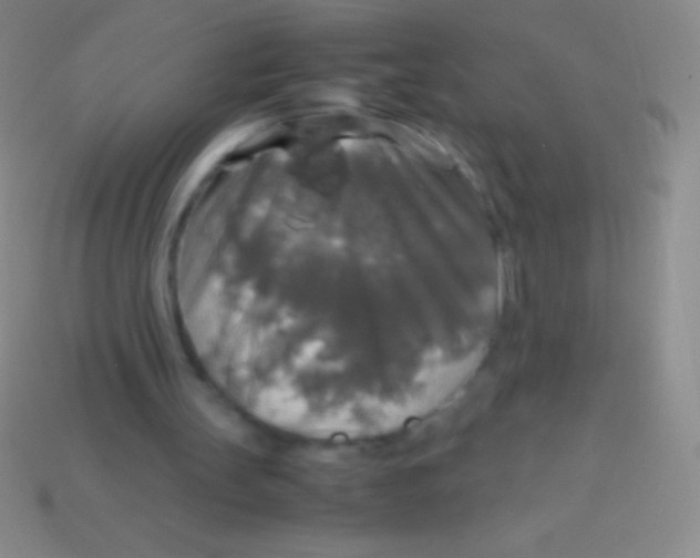 X0000113600147200910161914