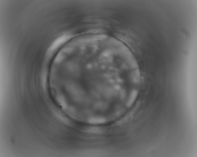 X0000113600149200910161914