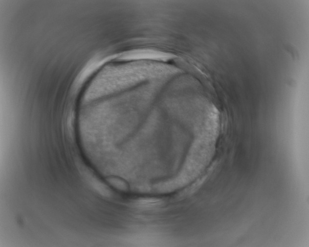 X0000113600150200910161914