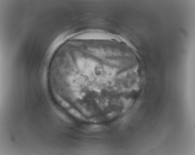 X0000113600151200910161914