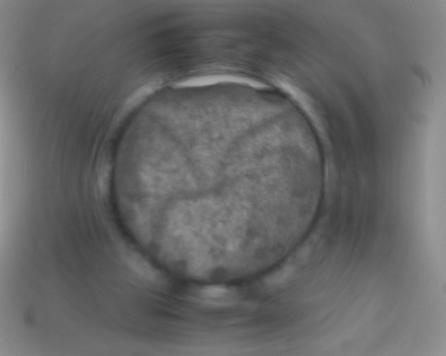 X0000113600153200910161914