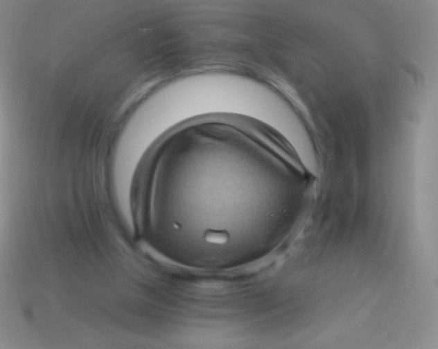 X0000113600154200910161914