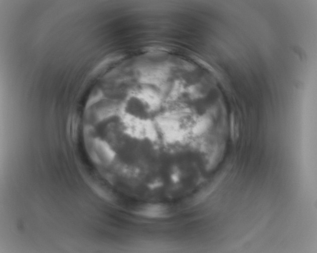 X0000113600157200910161914