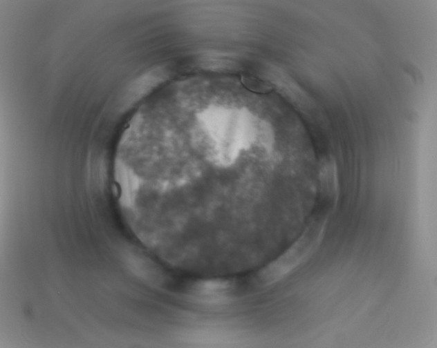 X0000113600158200910161914